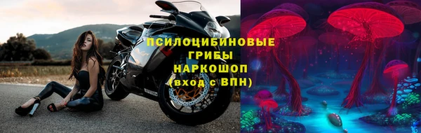 прущие грибы Белокуриха