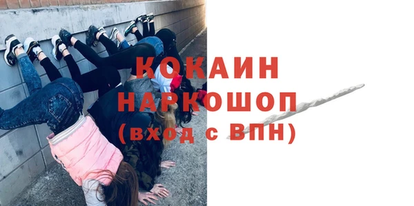 прущие грибы Белокуриха