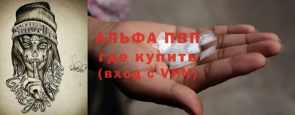 прущие грибы Белокуриха