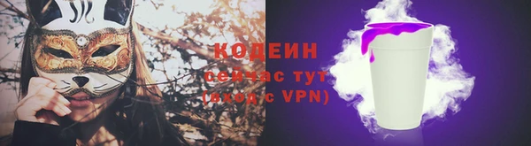 прущие грибы Белокуриха