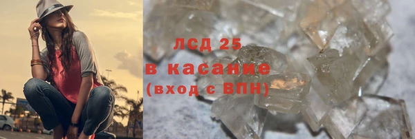 прущие грибы Белокуриха