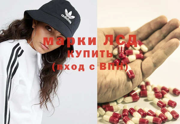 прущие грибы Белокуриха