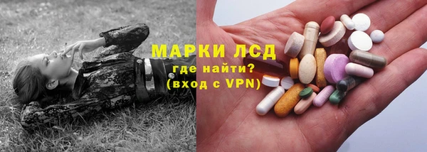 прущие грибы Белокуриха