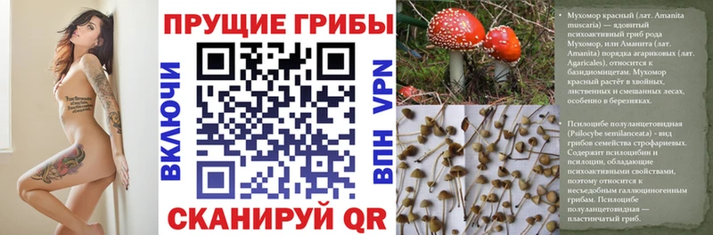 Галлюциногенные грибы ЛСД  даркнет сайт  Саяногорск 
